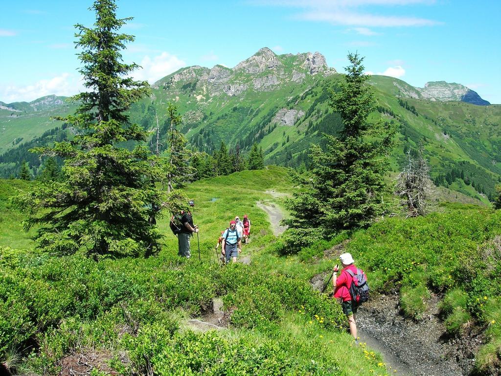 Landhotel Steindlwirt Дорфгащайн Екстериор снимка