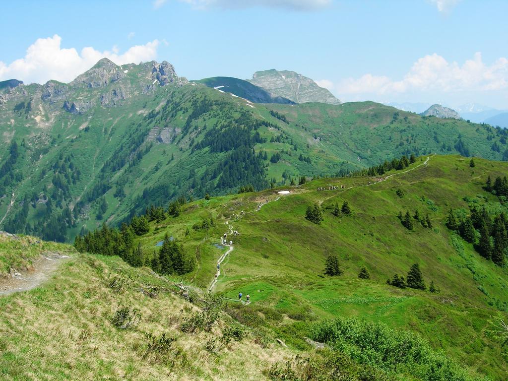 Landhotel Steindlwirt Дорфгащайн Екстериор снимка